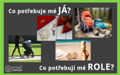 Co potřebuje mé JÁ a mé ROLE?