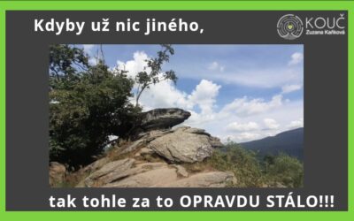 KDYBY UŽ NIC JINÉHO, TAK TOHLE OPRAVDU STÁLO ZA TO!